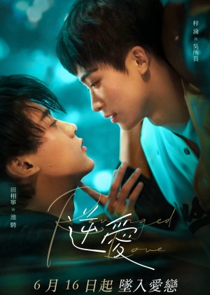 Revenged Love
