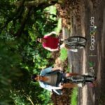 Poster Secrets Happened on the Litchi Island Movie