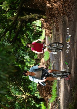 Poster Secrets Happened on the Litchi Island Movie