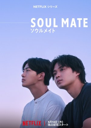 Serie Soul Mate