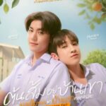 Poster When Oranges Fall