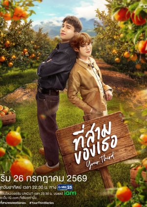 Poster Your Third