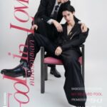 Poster Fool in Love